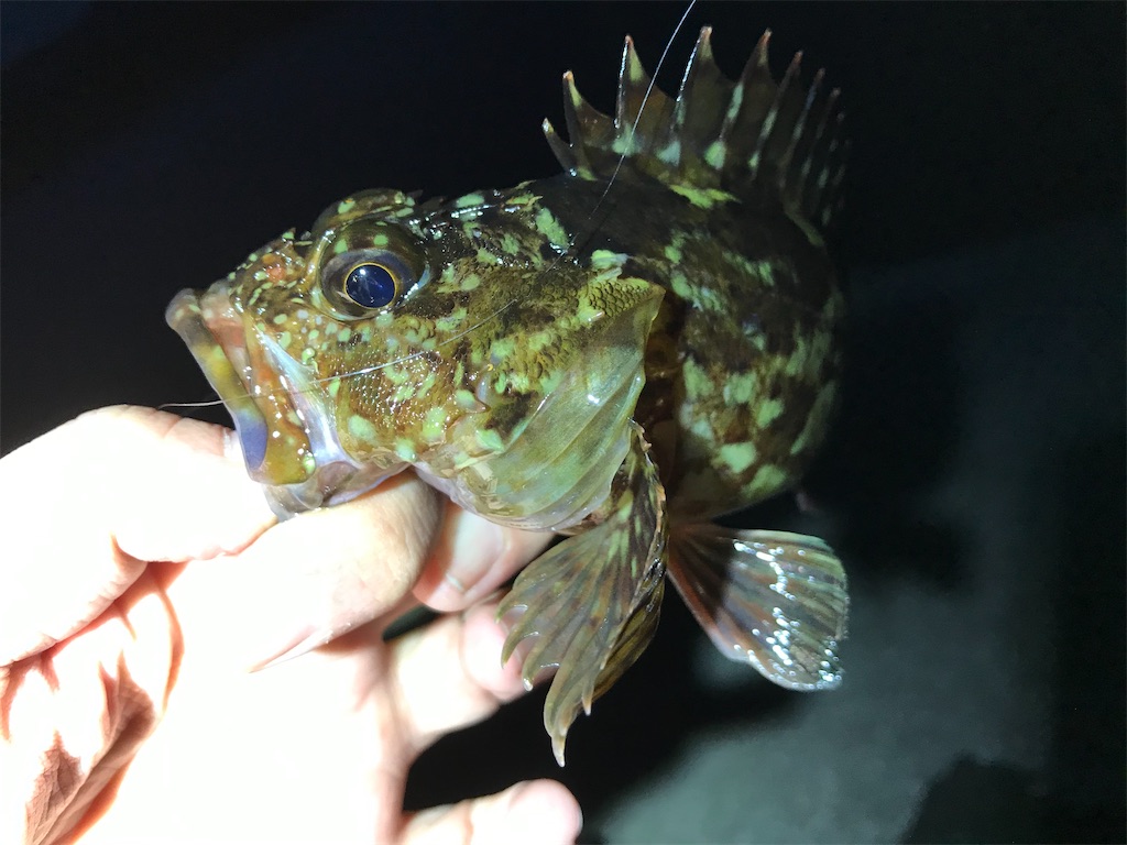 f:id:esojima3:20200331135837j:image f:id:esojima3:20200331135837j:image