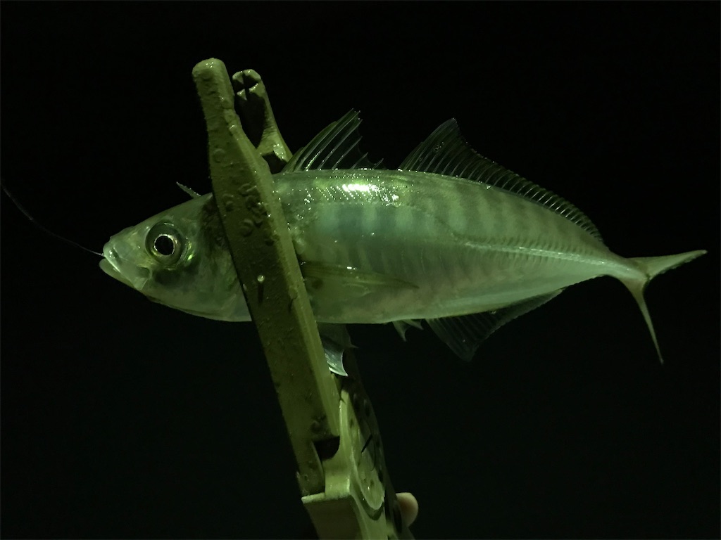 f:id:esojima3:20200331141033j:image f:id:esojima3:20200331141033j:image