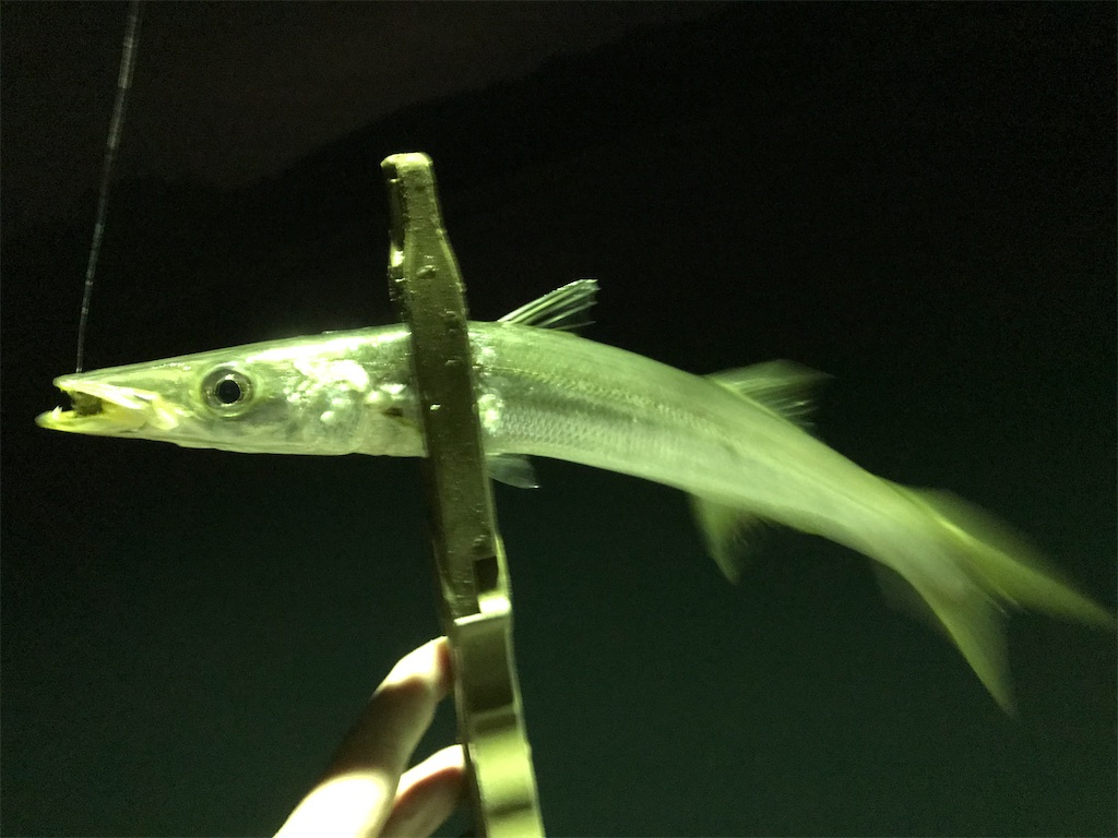 f:id:esojima3:20200331141037j:image f:id:esojima3:20200331141037j:image