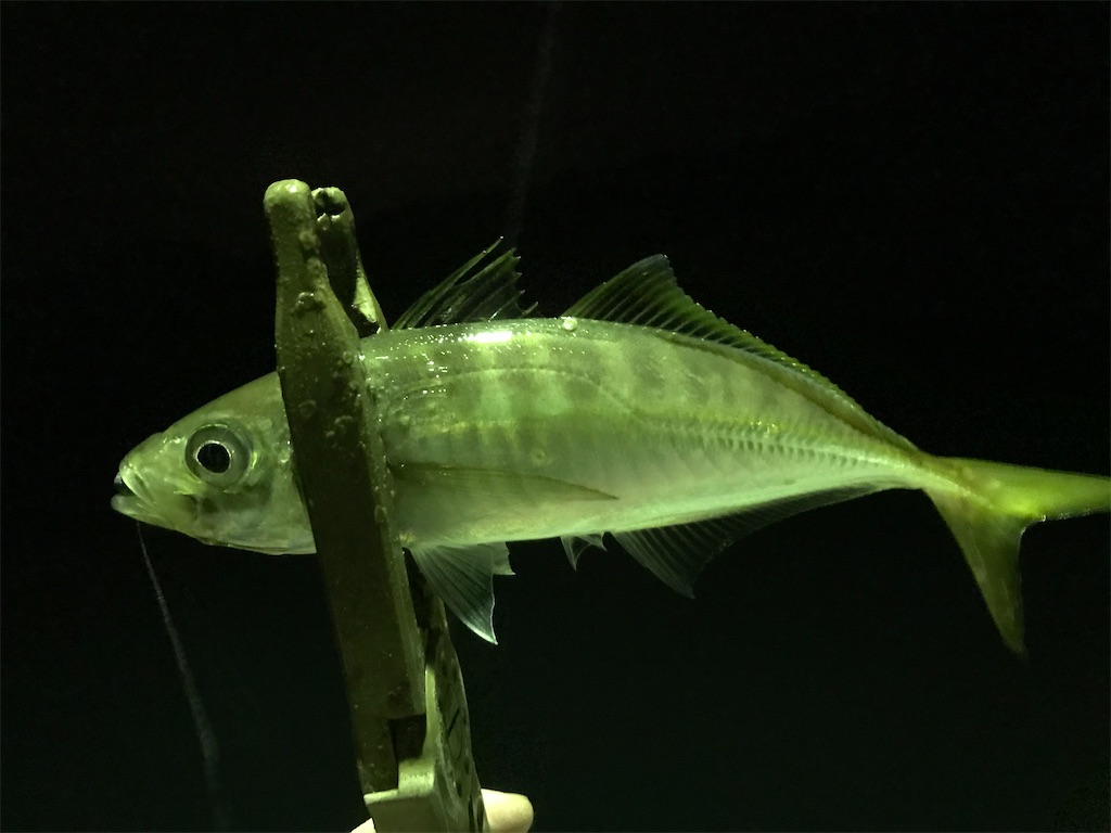 f:id:esojima3:20200331141041j:image f:id:esojima3:20200331141041j:image