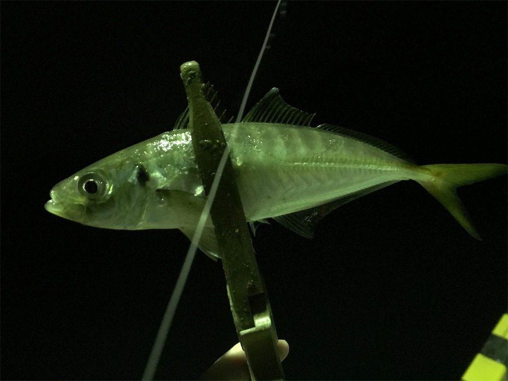 f:id:esojima3:20200331141054j:image f:id:esojima3:20200331141054j:image