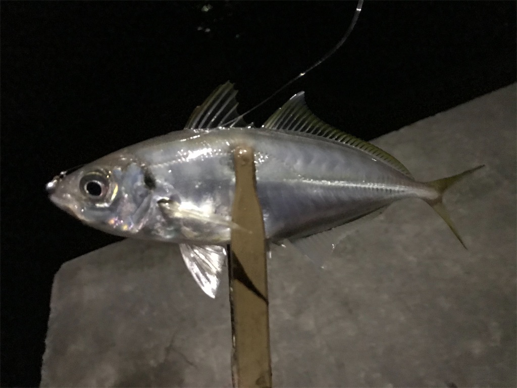 f:id:esojima3:20200331141336j:image f:id:esojima3:20200331141336j:image