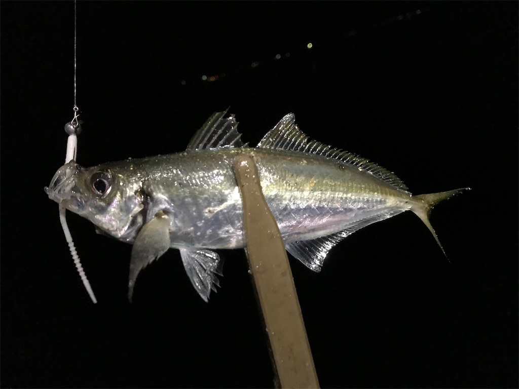 f:id:esojima3:20200331205946j:image