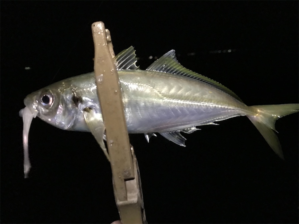 f:id:esojima3:20200331205954j:image