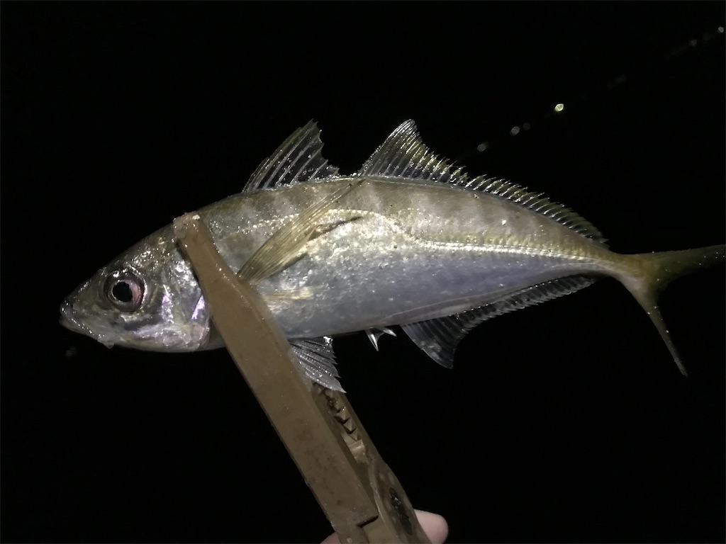 f:id:esojima3:20200331210035j:image