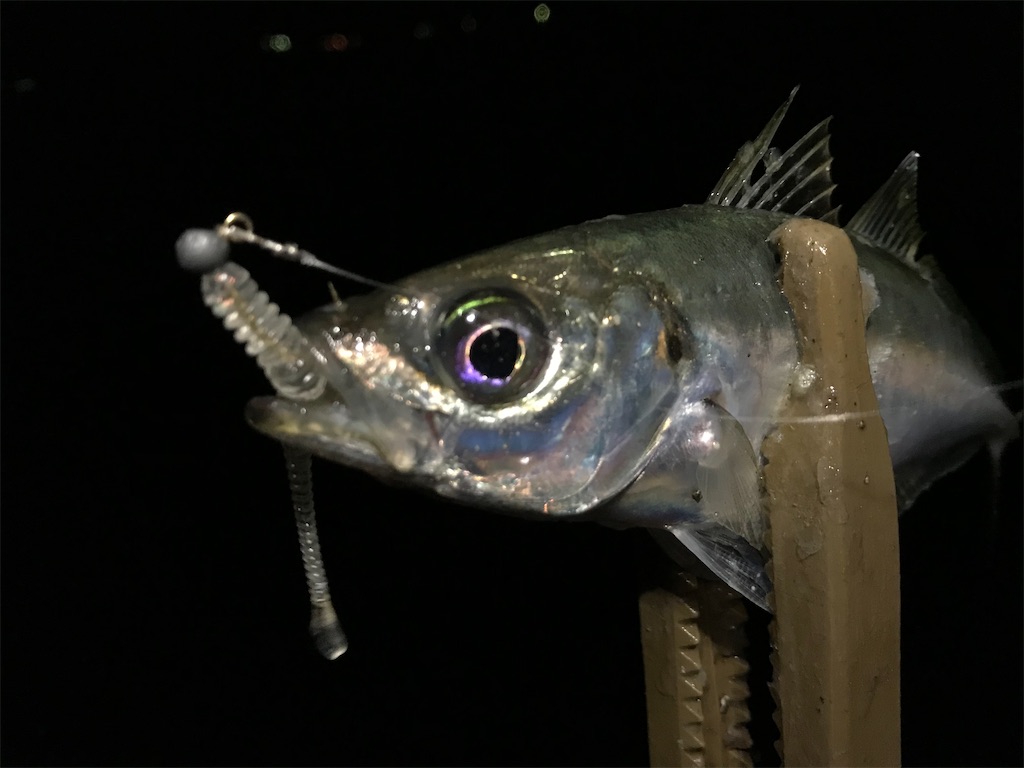 f:id:esojima3:20200331210534j:image
