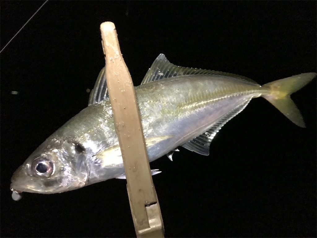 f:id:esojima3:20200331210542j:image