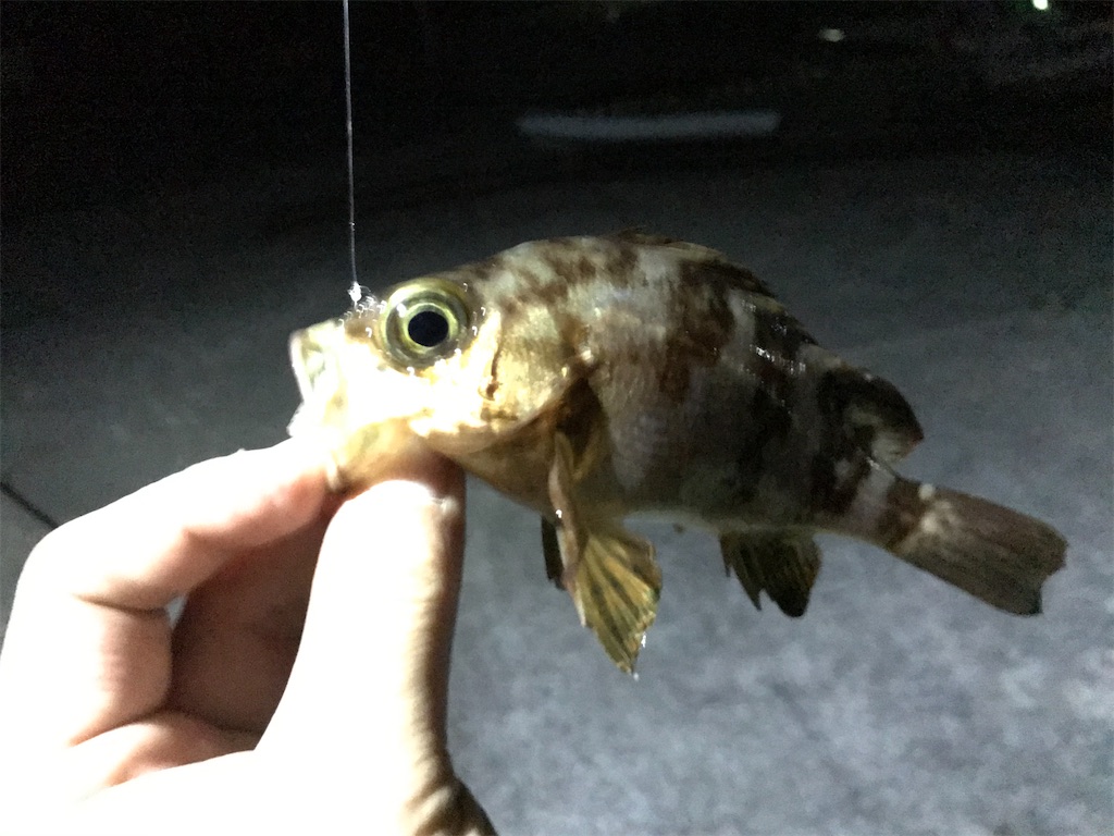 f:id:esojima3:20200331215654j:image