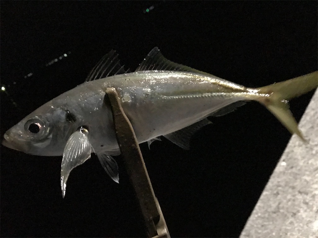 f:id:esojima3:20200331215701j:image