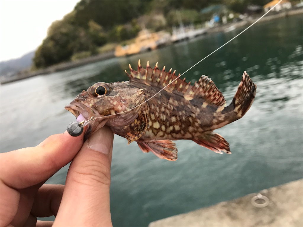 f:id:esojima3:20200331220119j:image