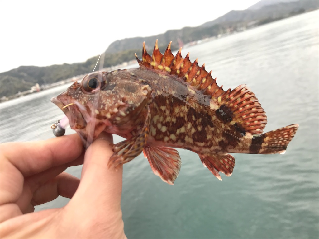 f:id:esojima3:20200331220123j:image