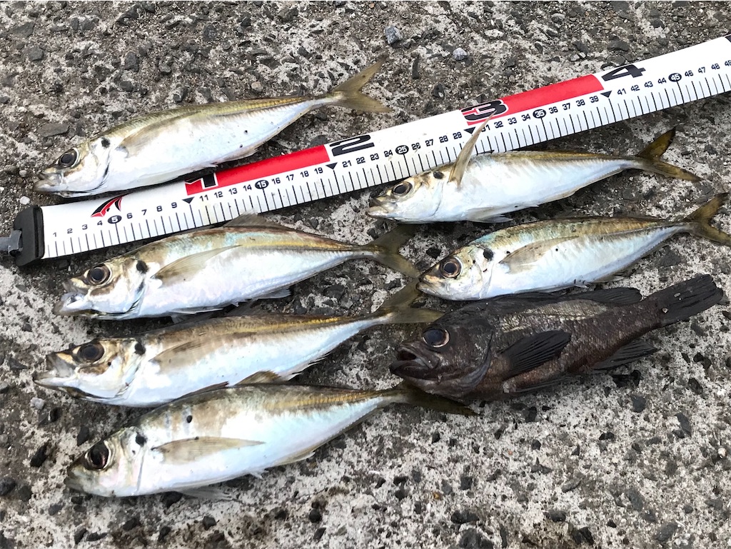 f:id:esojima3:20200331220127j:image