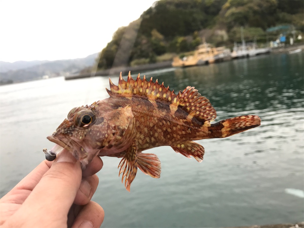 f:id:esojima3:20200331220131j:image