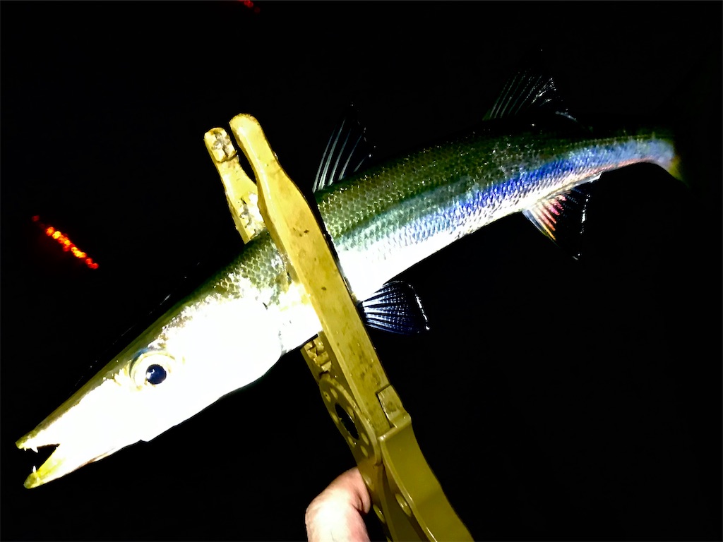 f:id:esojima3:20200517103732j:image f:id:esojima3:20200517103732j:image