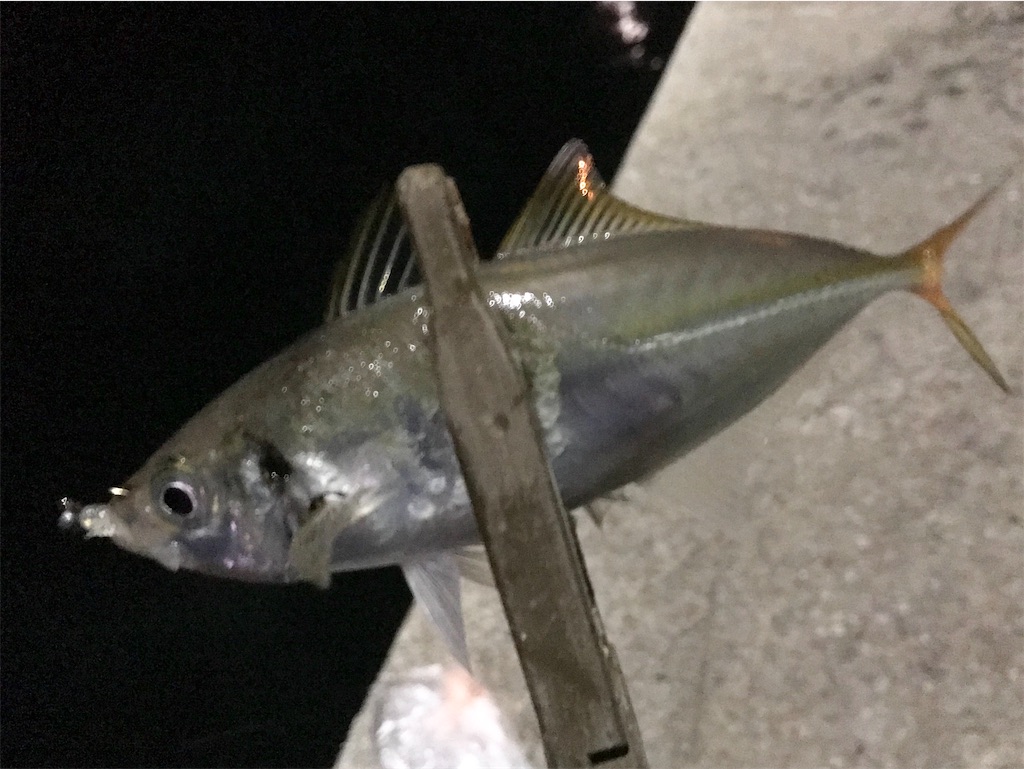 f:id:esojima3:20200530090341j:image