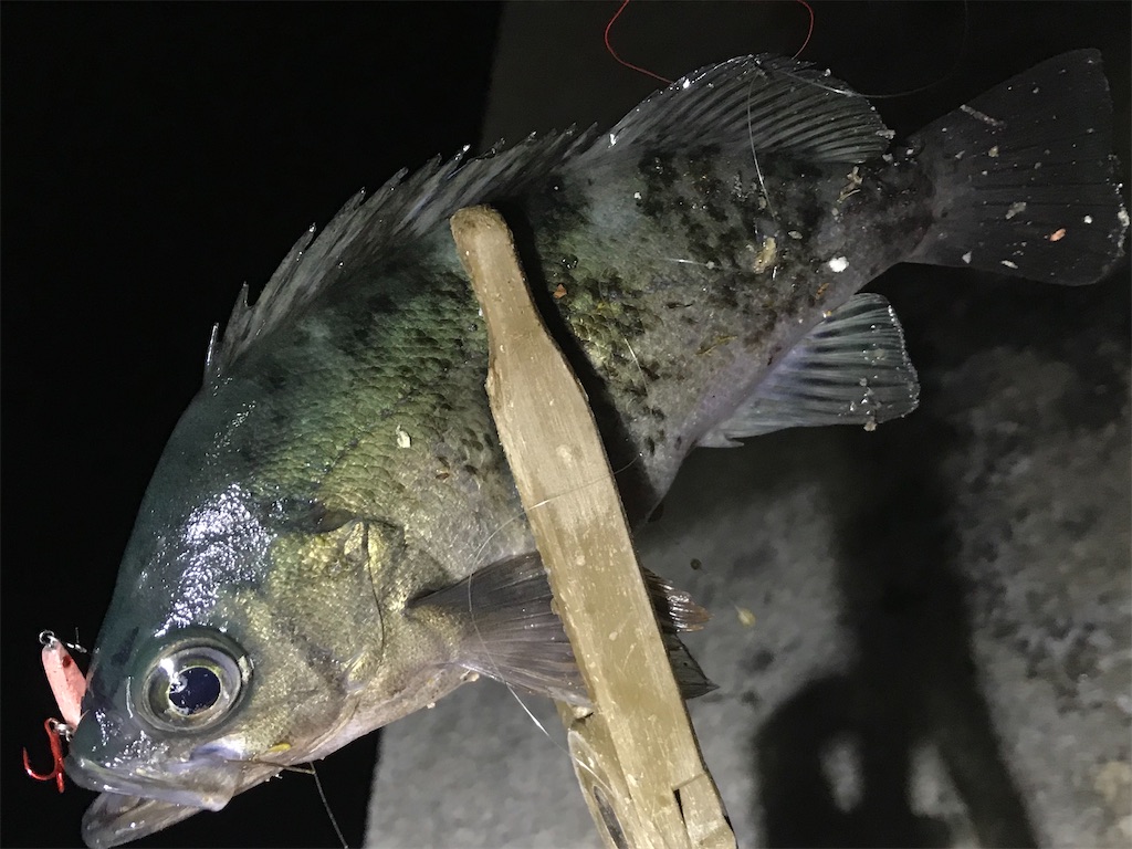 f:id:esojima3:20200530091554j:image