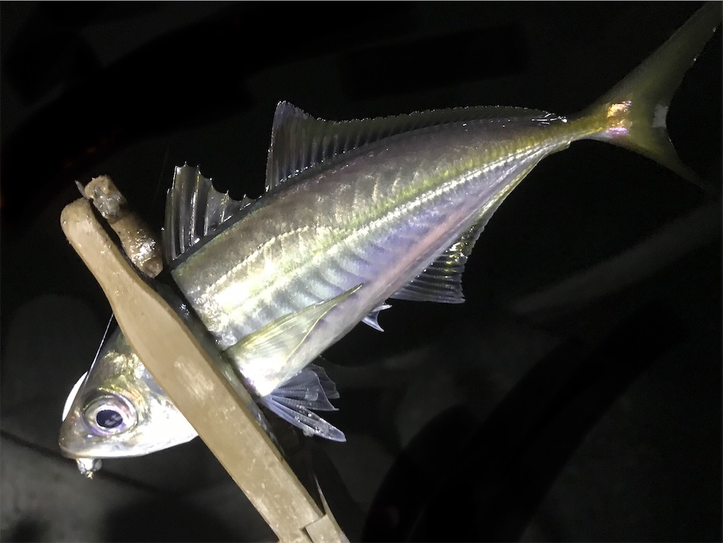 f:id:esojima3:20200530093405j:image