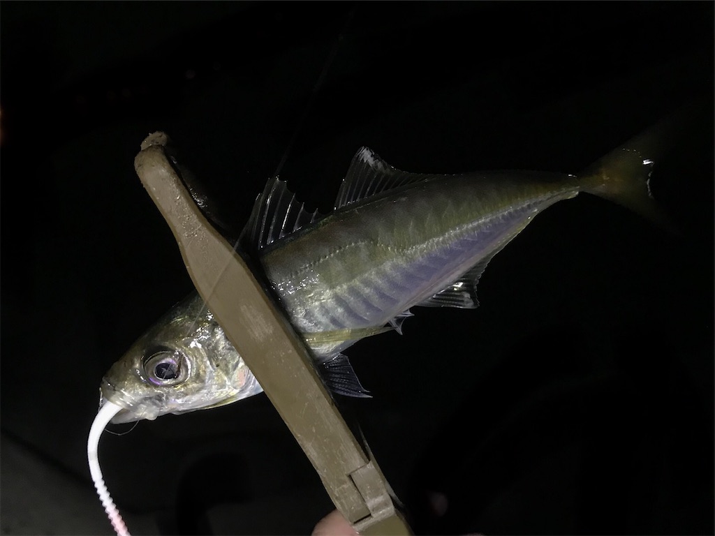 f:id:esojima3:20200530093408j:image