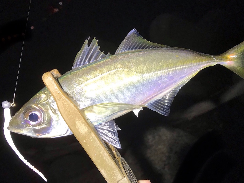 f:id:esojima3:20200530093412j:image