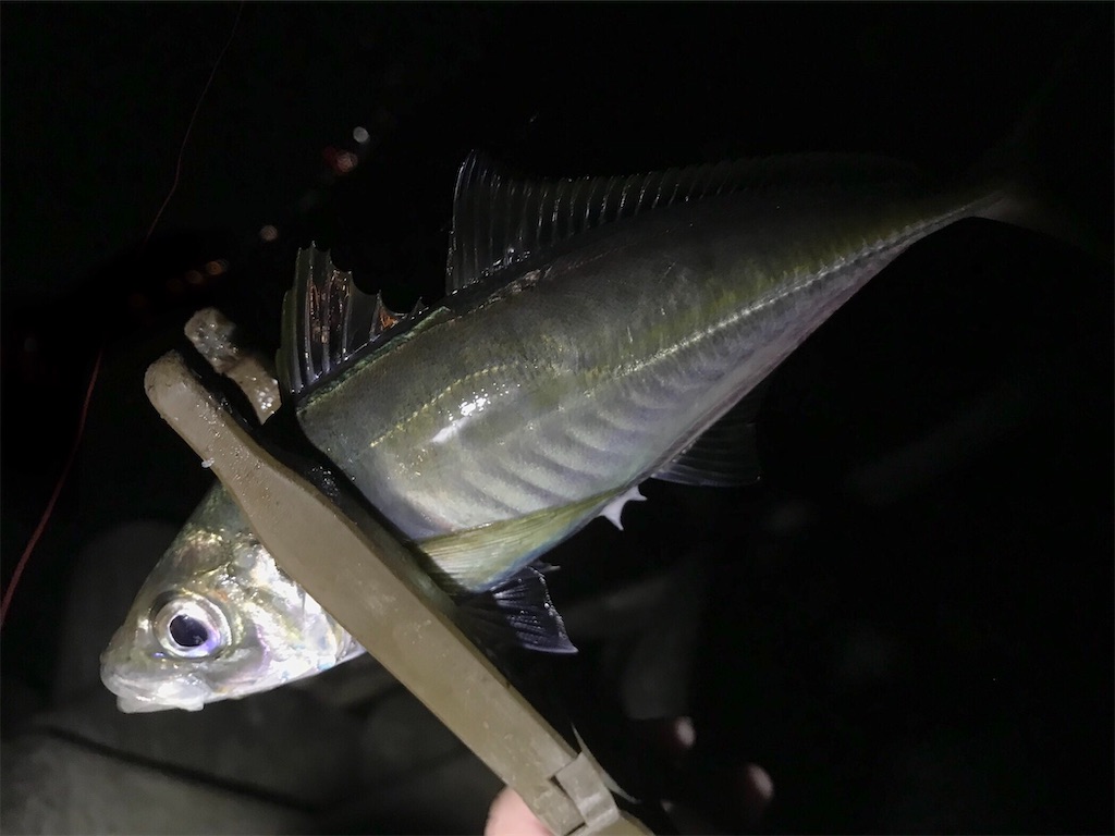 f:id:esojima3:20200530093415j:image