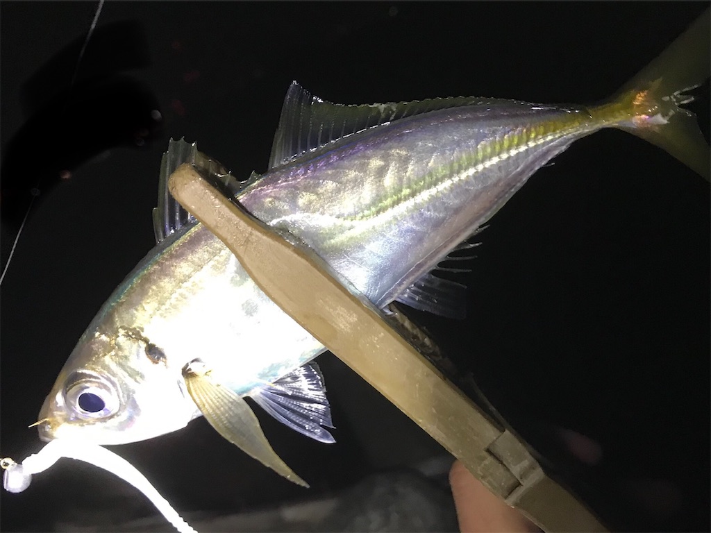 f:id:esojima3:20200530093419j:image