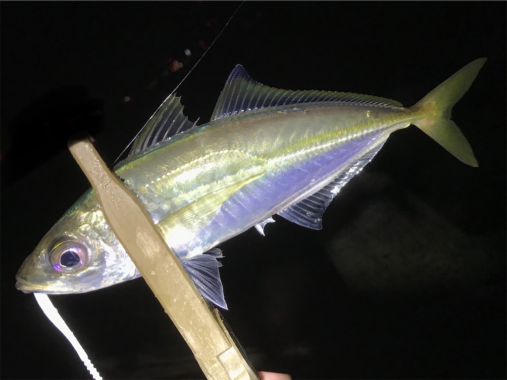 f:id:esojima3:20200530093423j:image