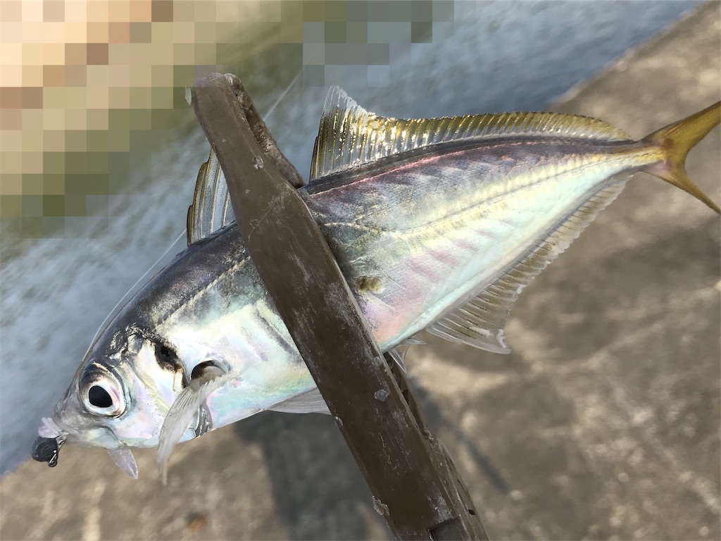 f:id:esojima3:20200615221648j:image