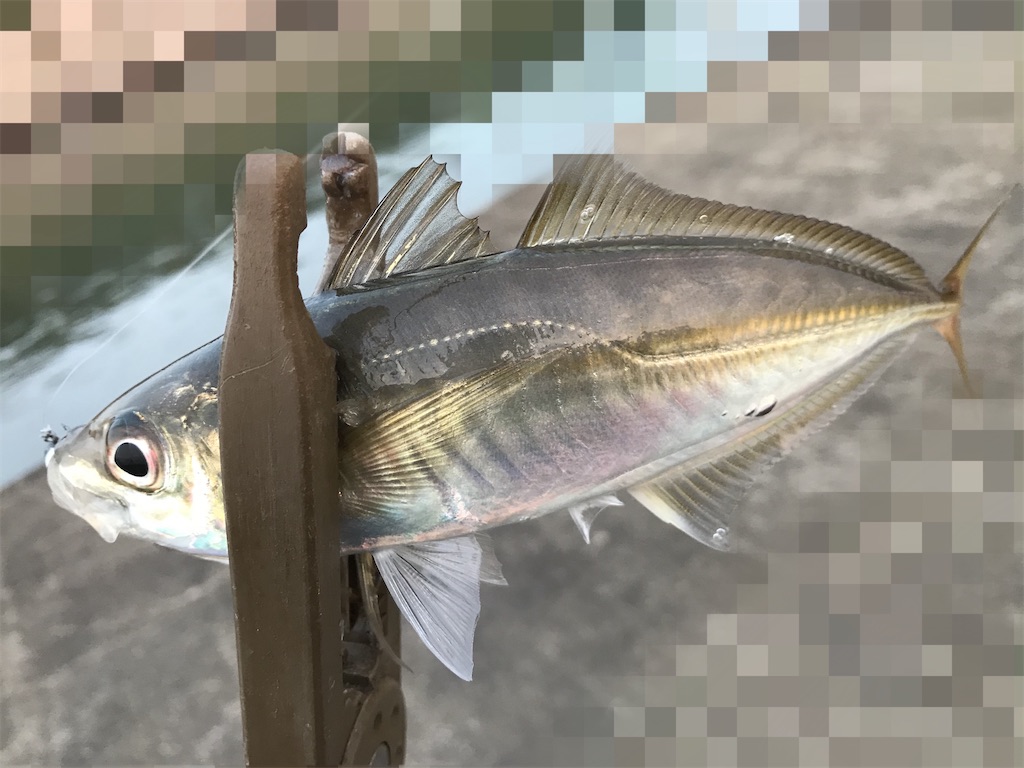 f:id:esojima3:20200615222440j:image