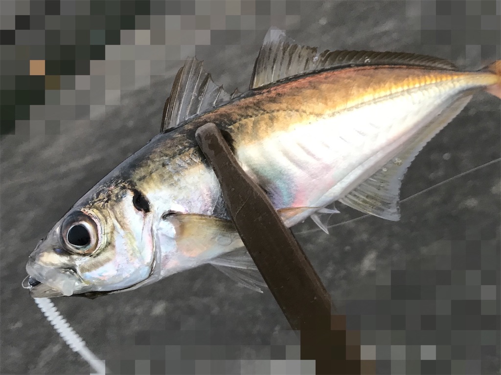 f:id:esojima3:20200615222444j:image