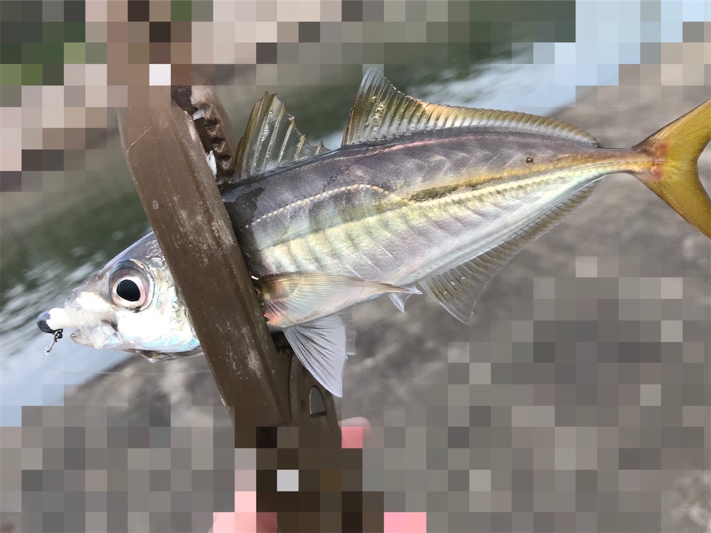 f:id:esojima3:20200615222451j:image