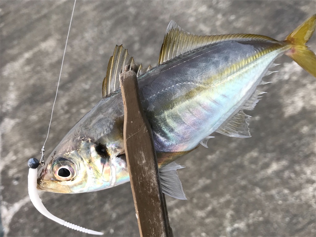 f:id:esojima3:20200615222456j:image