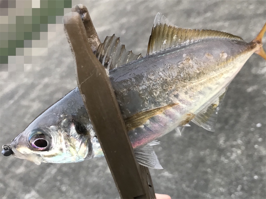 f:id:esojima3:20200615222459j:image