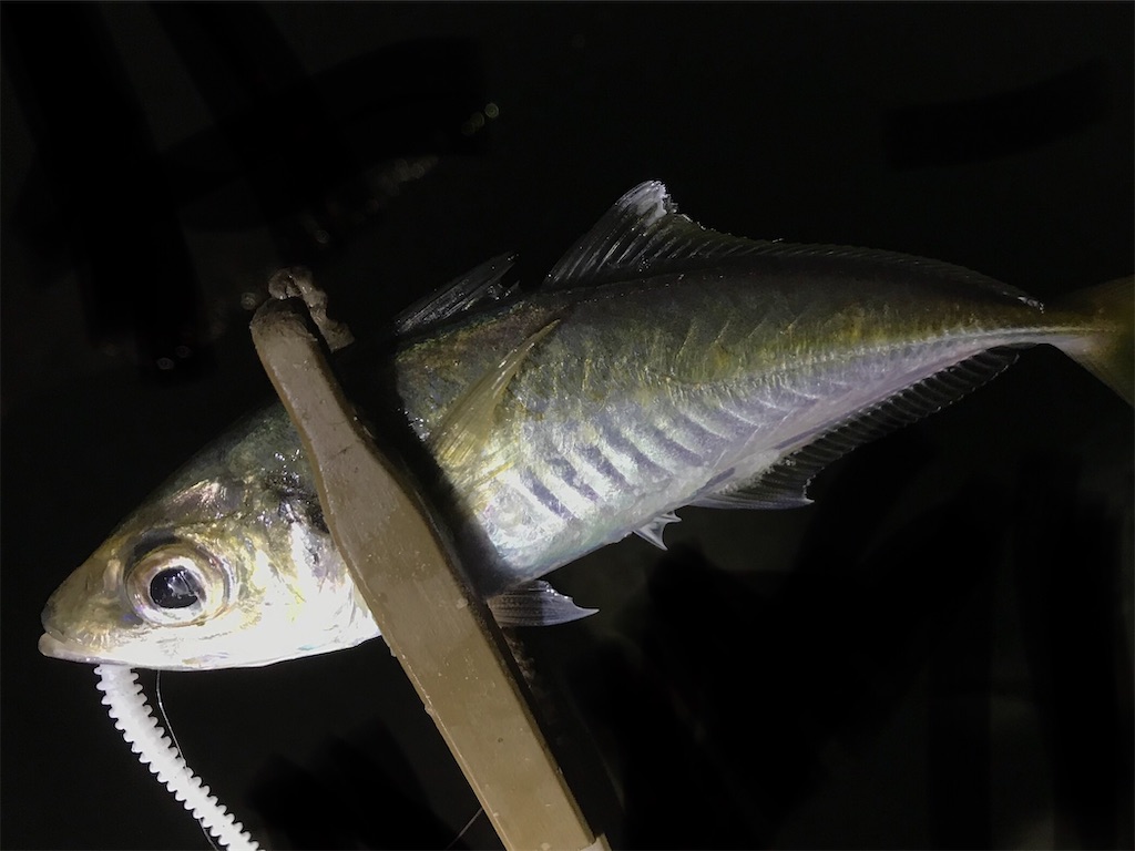 f:id:esojima3:20200704132247j:plain