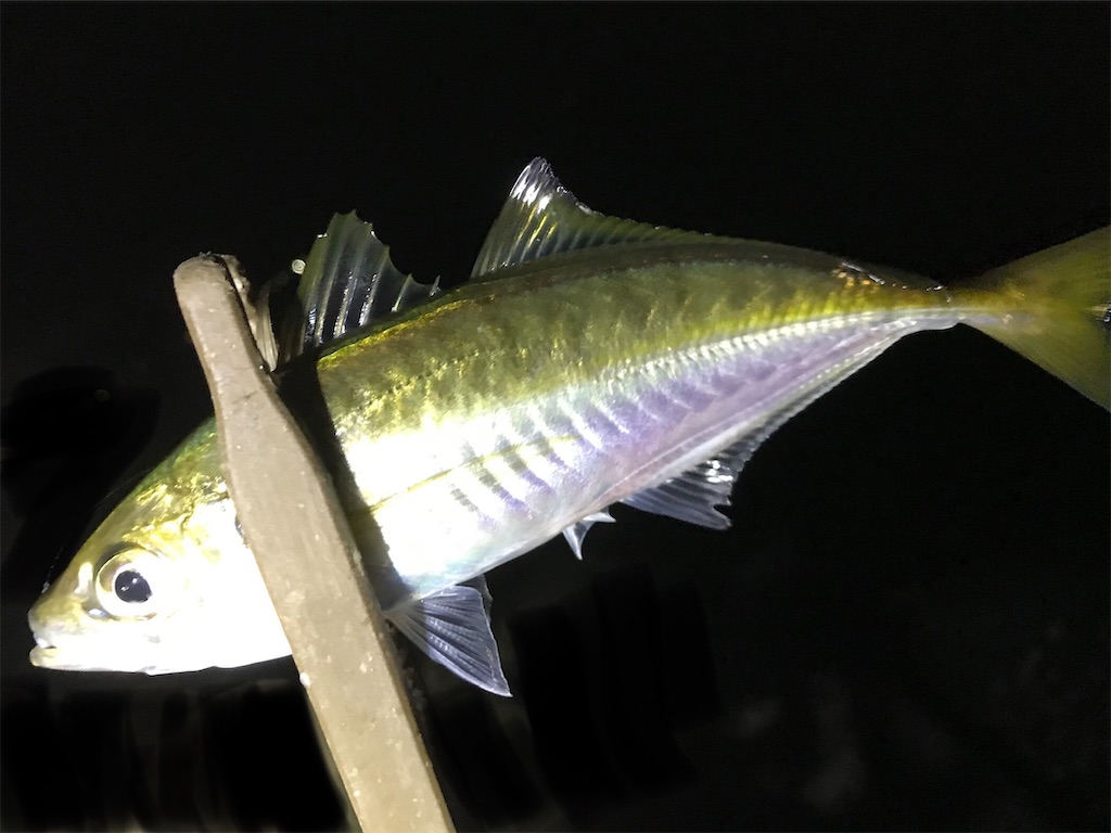 f:id:esojima3:20200704132254j:plain
