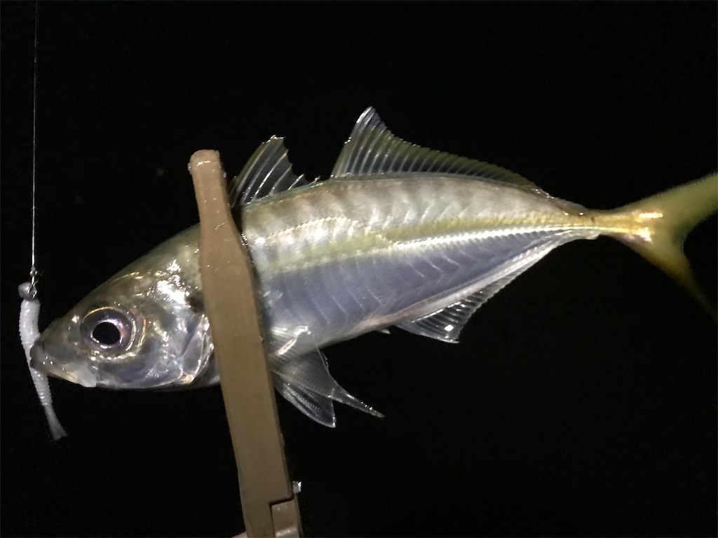 f:id:esojima3:20200712230633j:plain