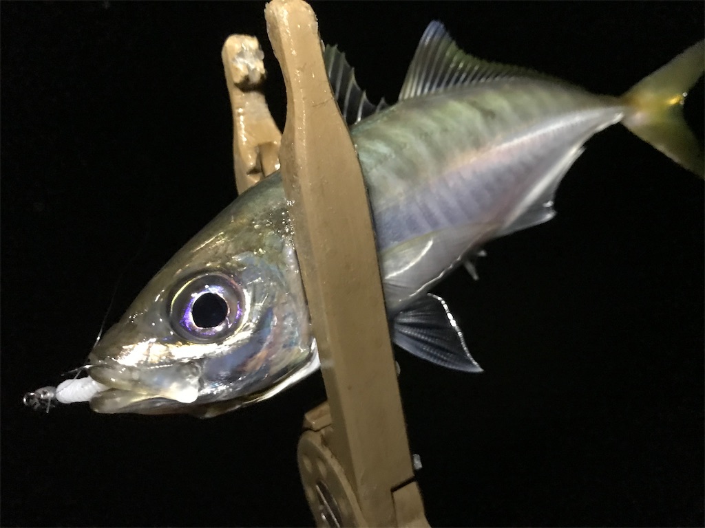 f:id:esojima3:20200712230642j:plain