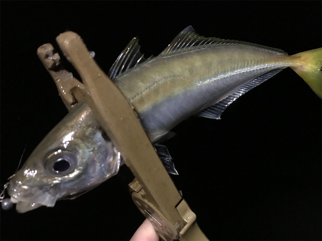 f:id:esojima3:20200712230646j:plain