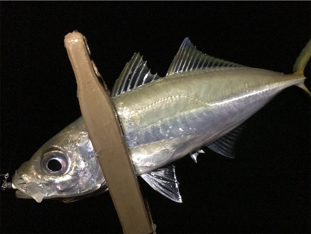 f:id:esojima3:20200712230654j:plain