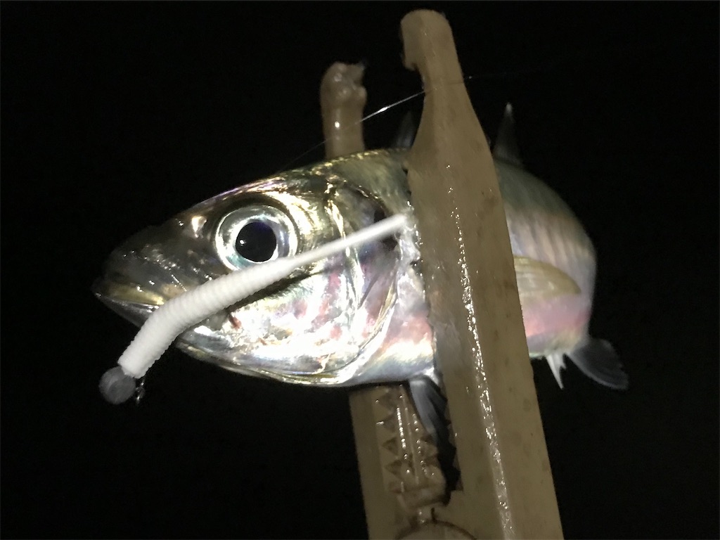 f:id:esojima3:20200712231235j:plain
