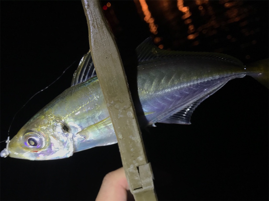 f:id:esojima3:20200729225025j:plain
