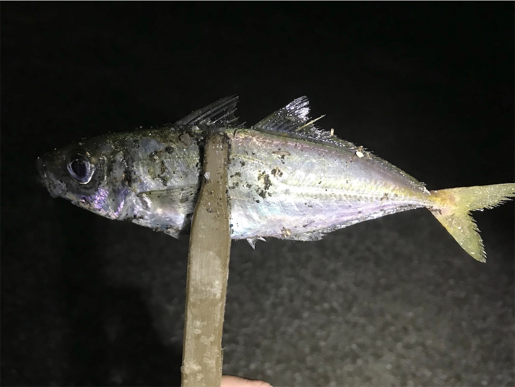 f:id:esojima3:20200802084703j:plain