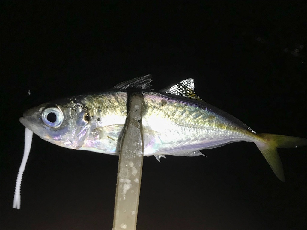 f:id:esojima3:20200802084727j:plain