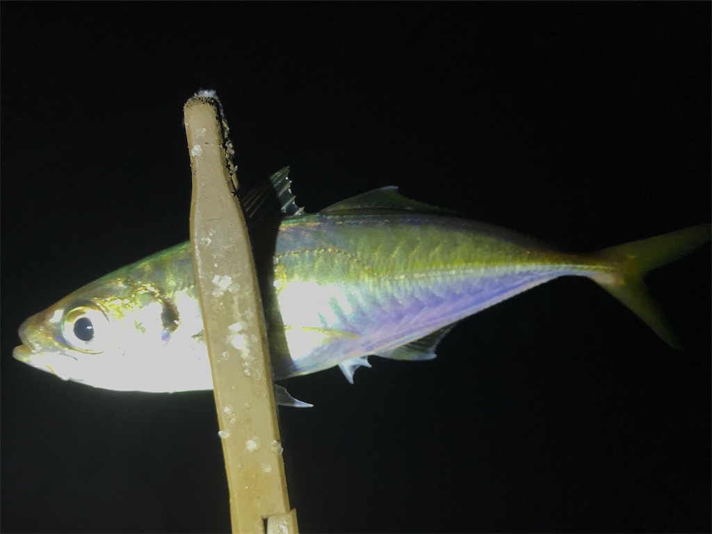 f:id:esojima3:20200802084733j:plain