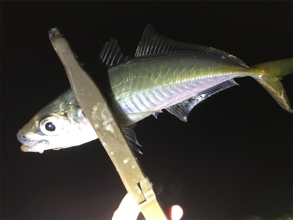 f:id:esojima3:20200802084737j:plain