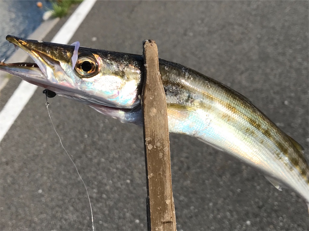 f:id:esojima3:20200805222310j:plain f:id:esojima3:20200805222310j:plain