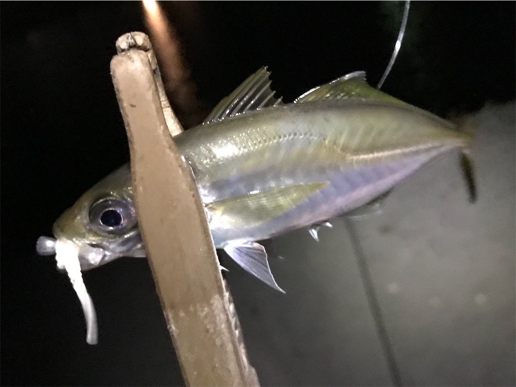 f:id:esojima3:20200809171417j:plain f:id:esojima3:20200809171417j:plain