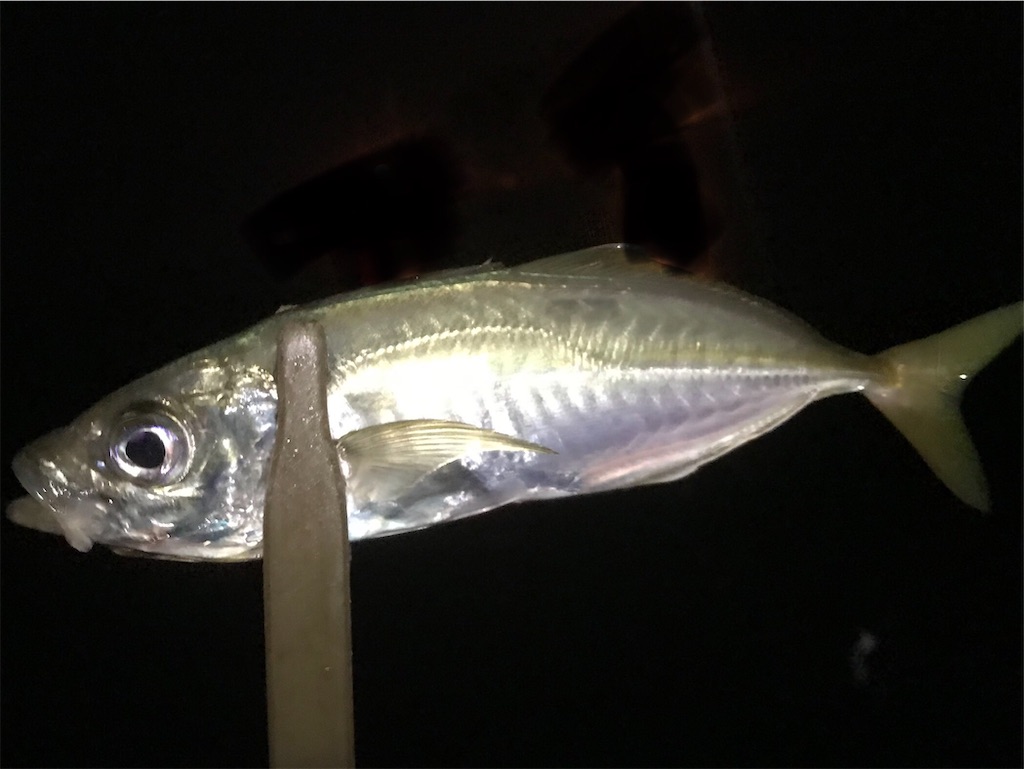 f:id:esojima3:20200809172051j:plain f:id:esojima3:20200809172051j:plain