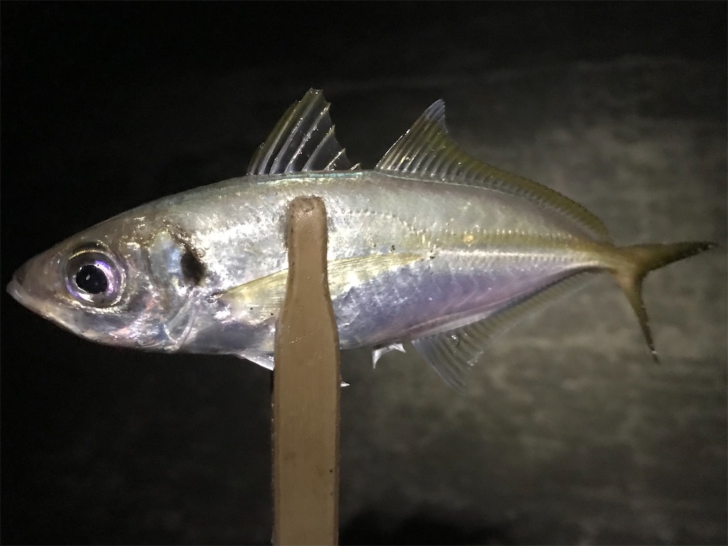 f:id:esojima3:20200809172100j:plain f:id:esojima3:20200809172100j:plain