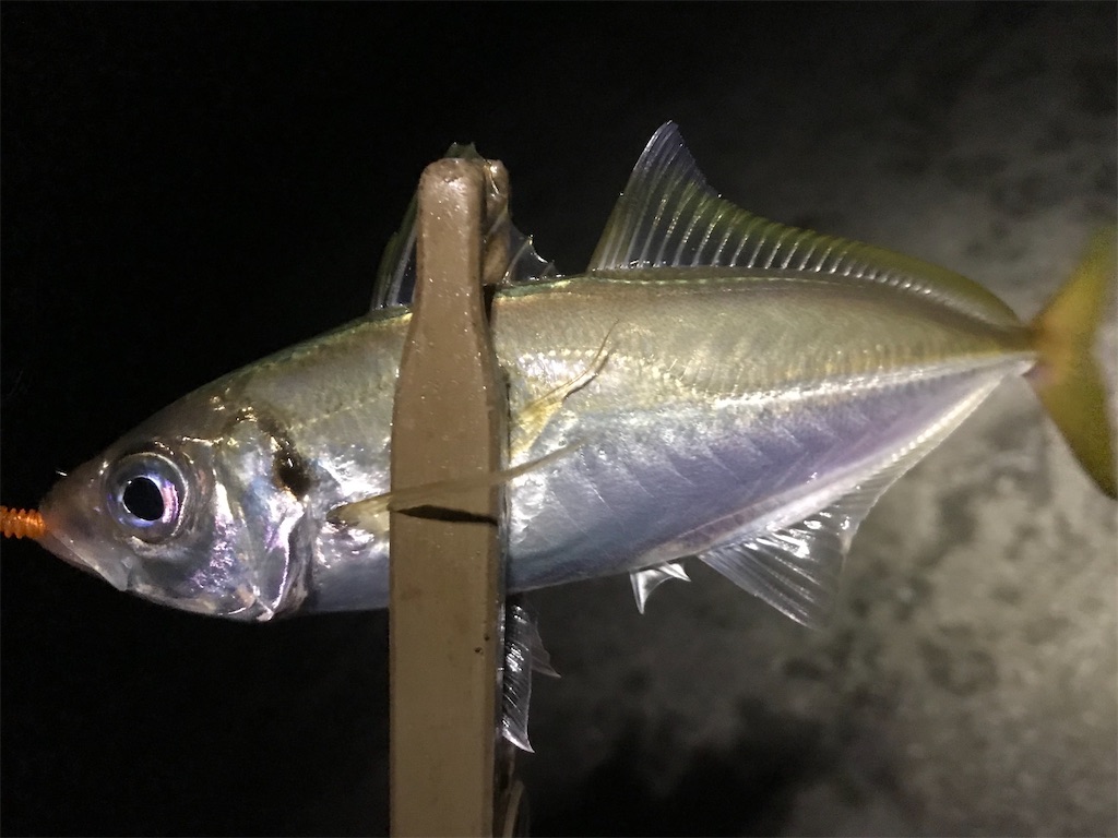 f:id:esojima3:20200809172103j:plain f:id:esojima3:20200809172103j:plain