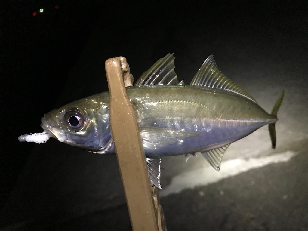 f:id:esojima3:20200810133207j:plain f:id:esojima3:20200810133207j:plain
